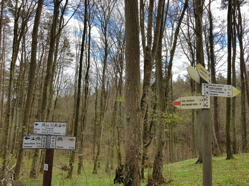 . dwa alternatywne szlaki na Chwarzno-Wiczlino, Demptowo, Dąbrowę, punkt widokowy na Górze Donas, Źródło Marii, Cmentarz Witomiński