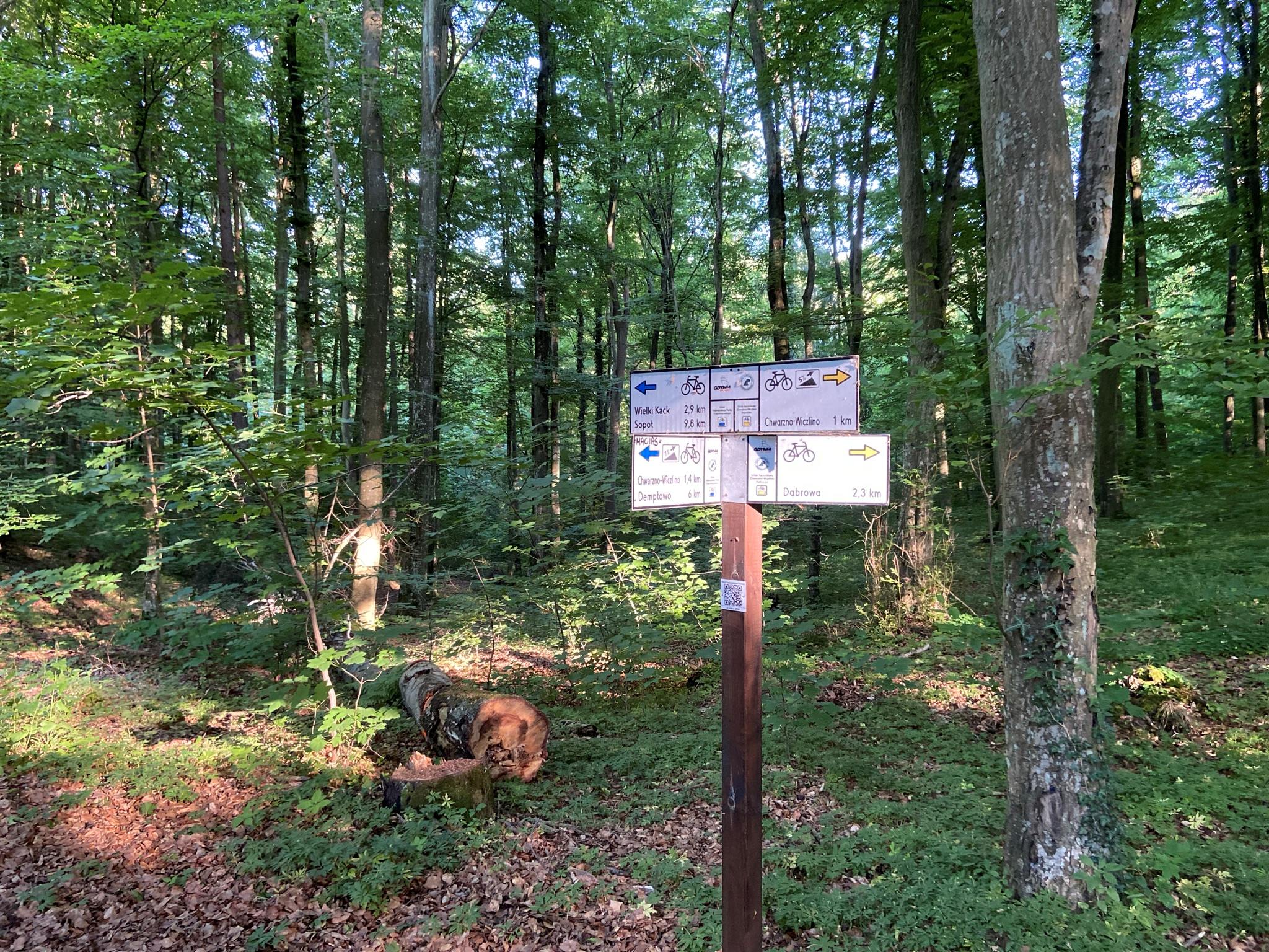 Główny szlak PTTK w Trojmiejskim parku Krajobrazowym