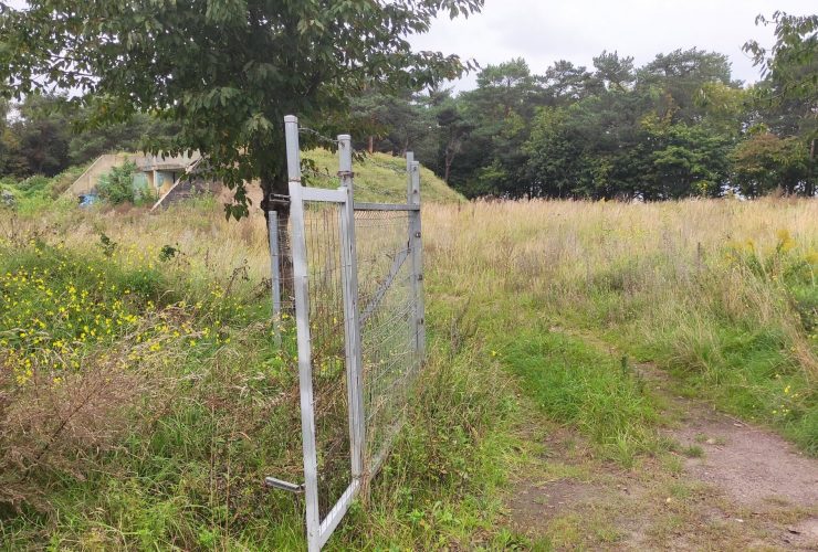 Tajemniczy Gasten. Zdjęcie przedstawia miejsce. w którym ma powstać Dom Opieki na Biabich Dołach