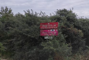 Przyroda na Babich Dołach, znak Obszar NAtura 2000