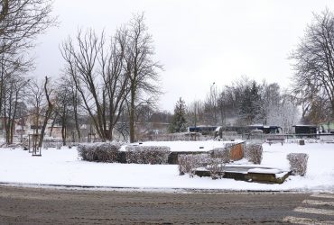 IMG 20211210 105834