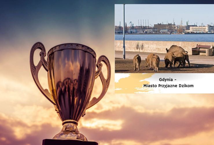 Gdynia przyjazna tytułom. Kompilacja dwóch zdjęć
