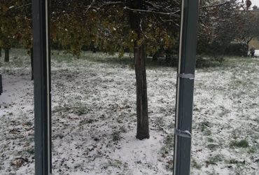 Pusta tablica w Parku Kilońskim