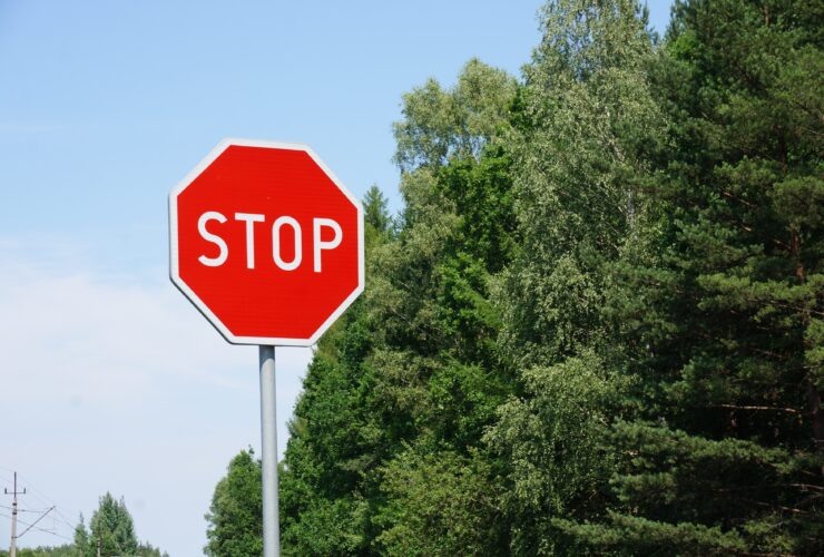 stop sign beside row trees against blue sky