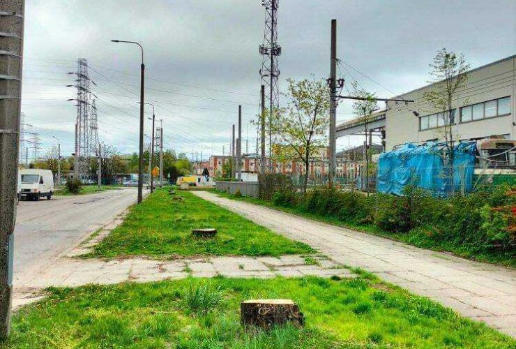 wycięte topole na Opata Hackiego